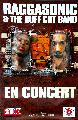 reg 76 raggasonic, 78x116, 15euro.jpg